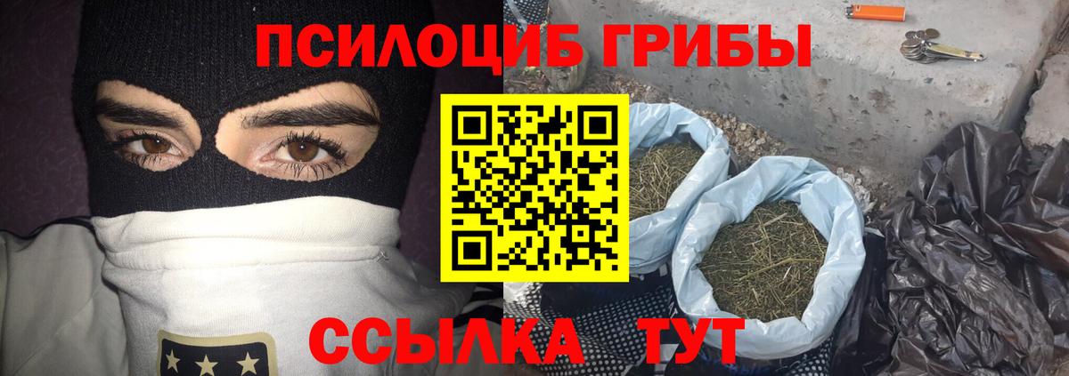 Жуковский  Псилоцибиновые грибы Psilocybe  Вход с VPN  Галлюциногенные грибы мухоморы 