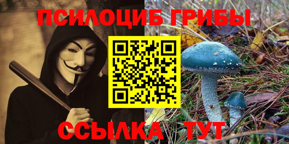 Псилоцибиновые грибы ЛСД Жуковский